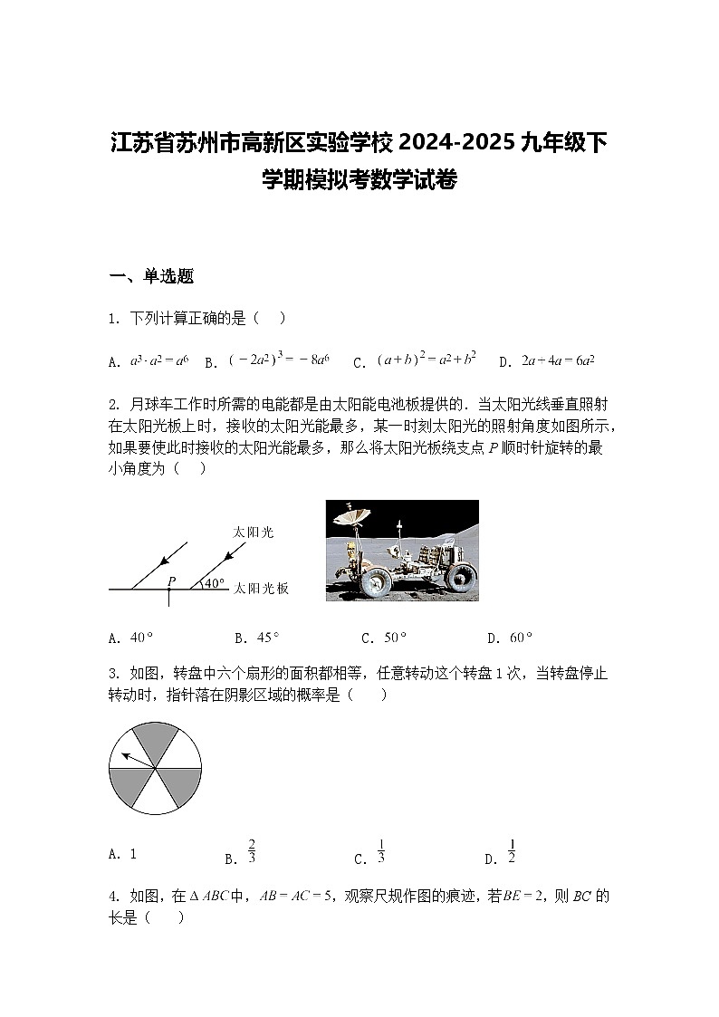 江苏省苏州市高新区实验学校2024-2025九年级下学期模拟考数学试卷（含答案解析）第1页