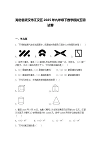 湖北省武汉市江汉区2025年九年级下数学模拟五调试卷(含答案解析)