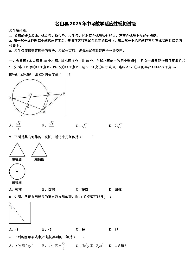 名山县2025年中考数学适应性模拟试题含解析第1页
