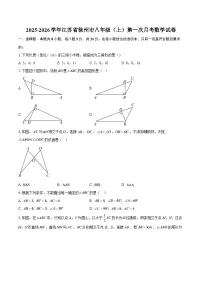 2025-2026学年江苏省徐州市八年级(上)第一次月考数学试卷-自定义类型