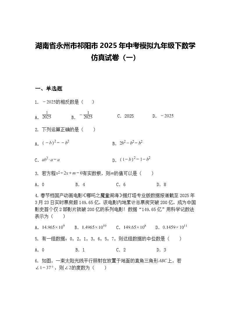 湖南省永州市祁阳市2025年中考模拟九年级下数学仿真试卷（一）（含答案解析）第1页