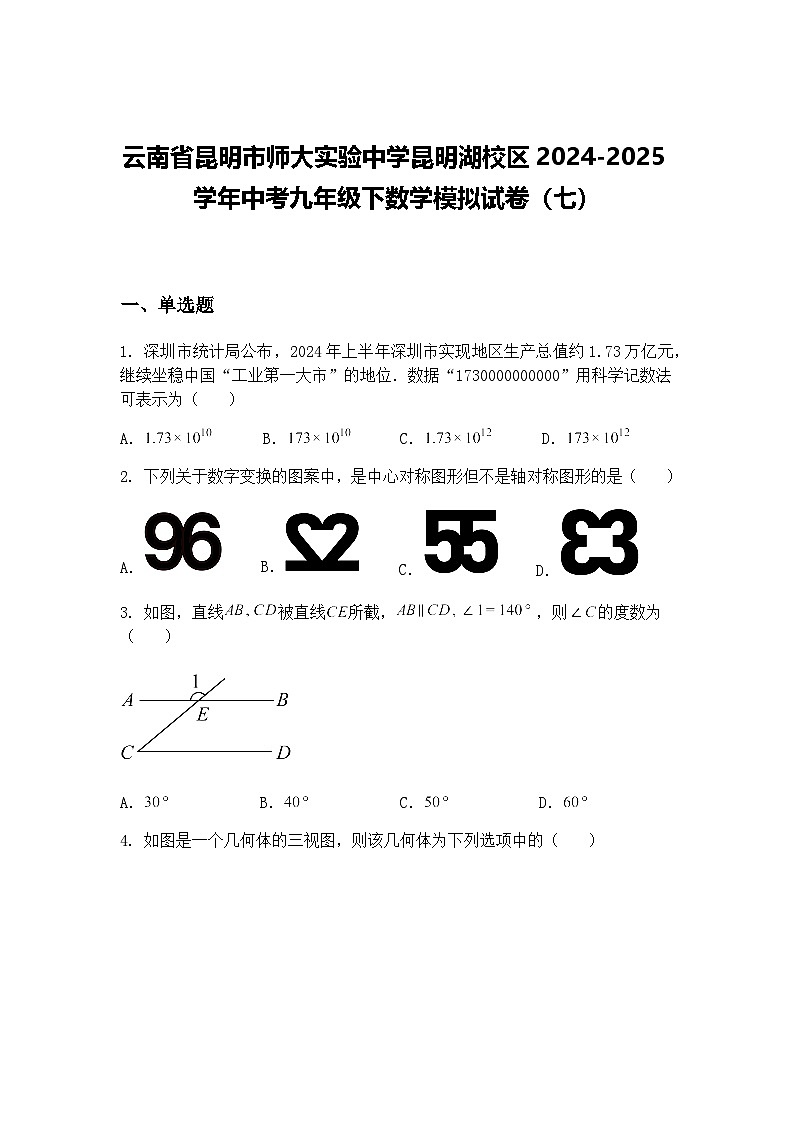 云南省昆明市师大实验中学昆明湖校区2024-2025学年中考九年级下数学模拟试卷（七）（含答案解析）第1页