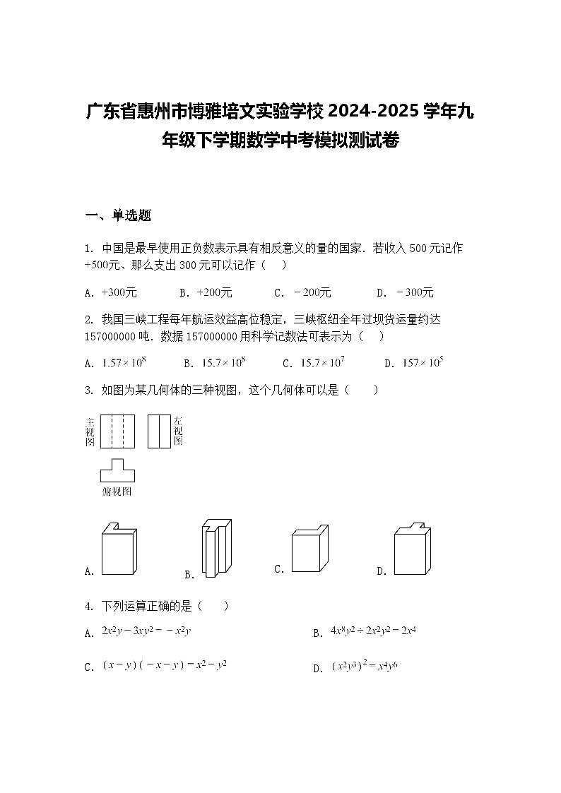 广东省惠州市博雅培文实验学校2024-2025学年九年级下学期数学中考模拟测试卷（含答案解析）第1页