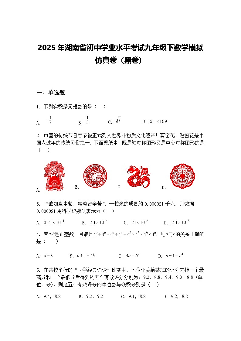 2025年湖南省初中学业水平考试九年级下数学模拟仿真卷（黑卷）（含答案解析）第1页