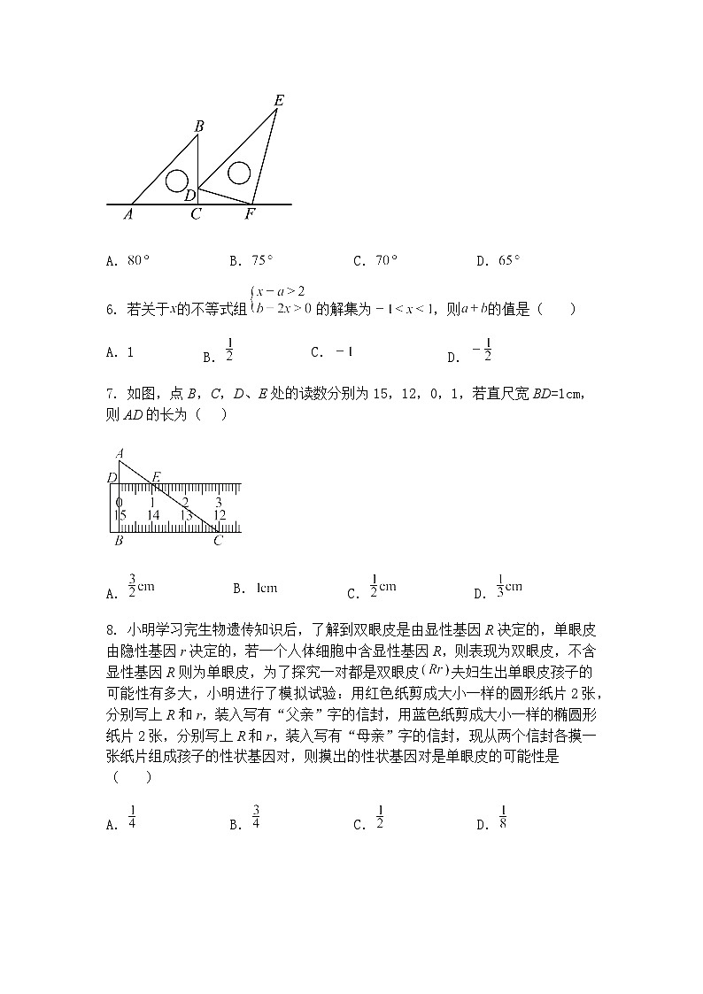 河南省实验中学2024-2025学年九年级下数学模拟下学期学情调研（一）（含答案解析）第2页