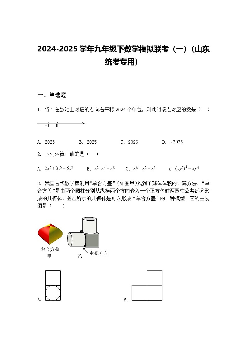 2024-2025学年九年级下数学模拟联考（一）（山东统考专用）（含答案解析）第1页