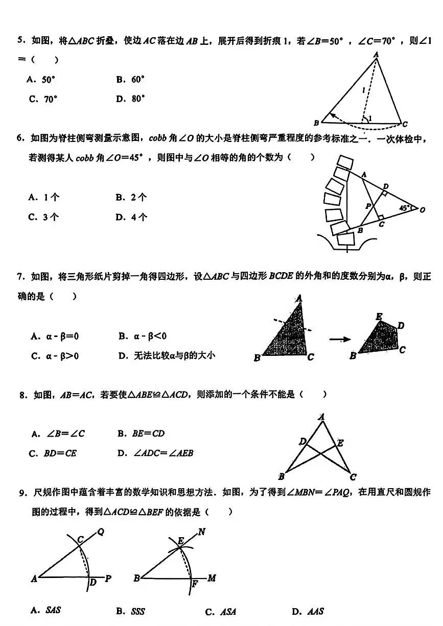 河北省邯郸市锦玉中学2024-2025学年八年级上学期第一次月考数学试题第2页