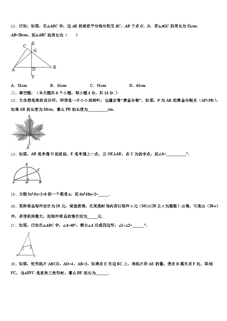 2024-2025学年濮阳市华龙区初中数学毕业考试模拟冲刺卷含解析第3页