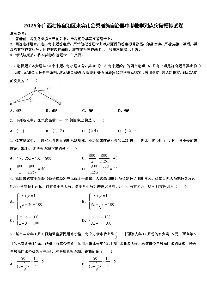 2025年广西壮族自治区来宾市金秀瑶族自治县中考数学对点突破模拟试卷含解析第1页