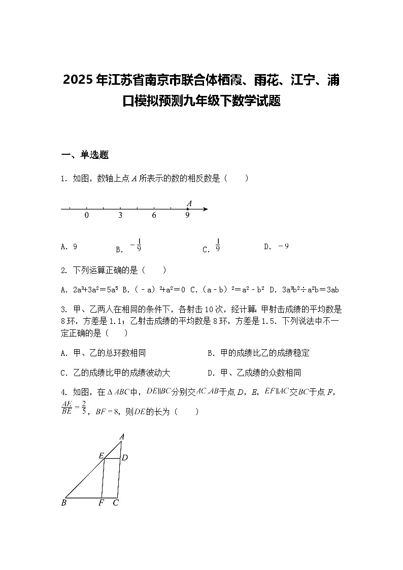 2025年江苏省南京市联合体栖霞、雨花、江宁、浦口模拟预测九年级下数学试题（含答案解析）第1页