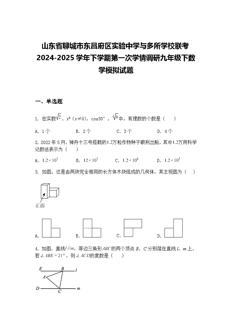 山东省聊城市东昌府区实验中学与多所学校联考2024-2025学年下学期第一次学情调研九年级下数学模拟试题（含答案解析）第1页