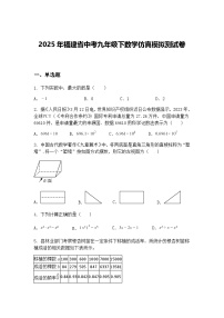 2025年福建省中考九年级下数学仿真模拟测试卷（含答案解析）