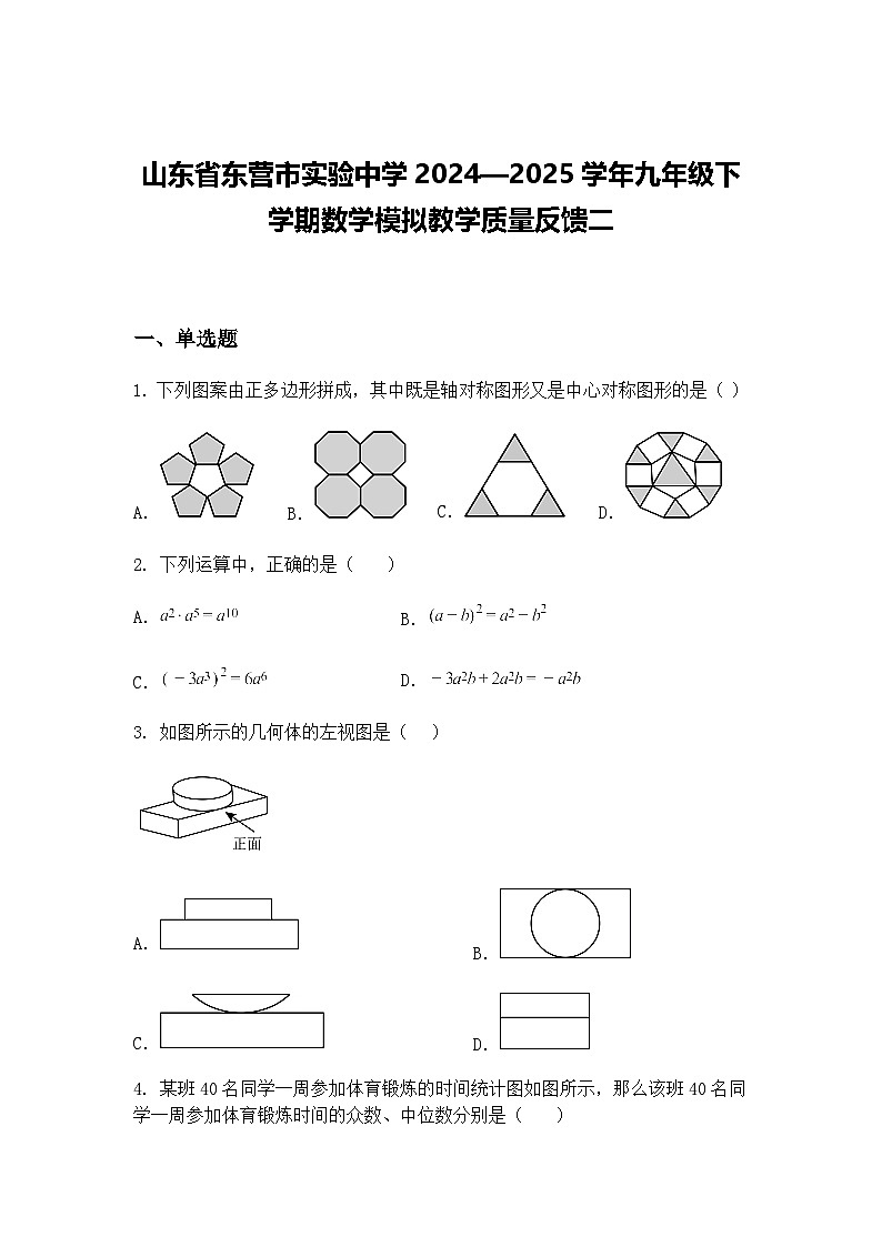 山东省东营市实验中学2024—2025学年九年级下学期数学模拟教学质量反馈二（含答案解析）第1页