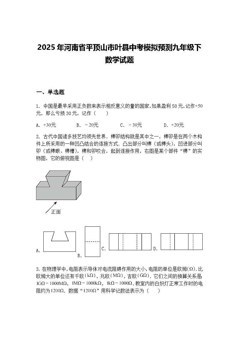 2025年河南省平顶山市叶县中考模拟预测九年级下数学试题（含答案解析）第1页