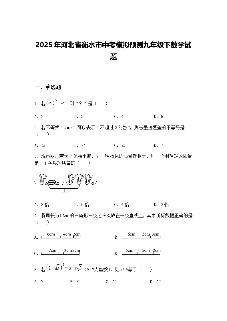 2025年河北省衡水市中考模拟预测九年级下数学试题（含答案解析）第1页