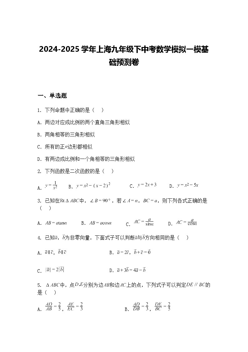 2024-2025学年上海九年级下中考数学模拟一模基础预测卷（含答案解析）第1页