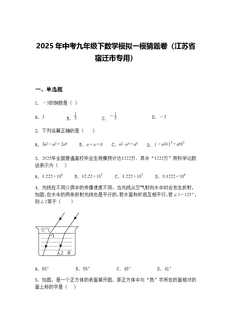2025年中考九年级下数学模拟一模猜题卷（江苏省宿迁市专用）（含答案解析）第1页