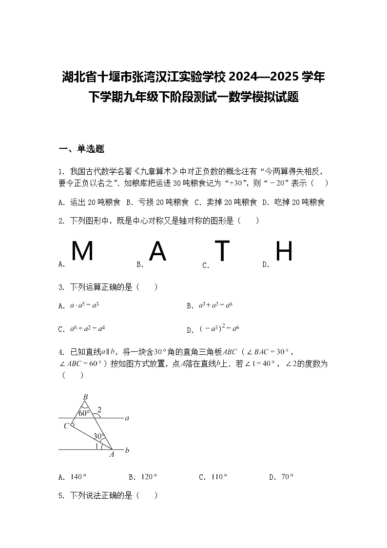 湖北省十堰市张湾汉江实验学校2024—2025学年下学期九年级下阶段测试一数学模拟试题（含答案解析）第1页