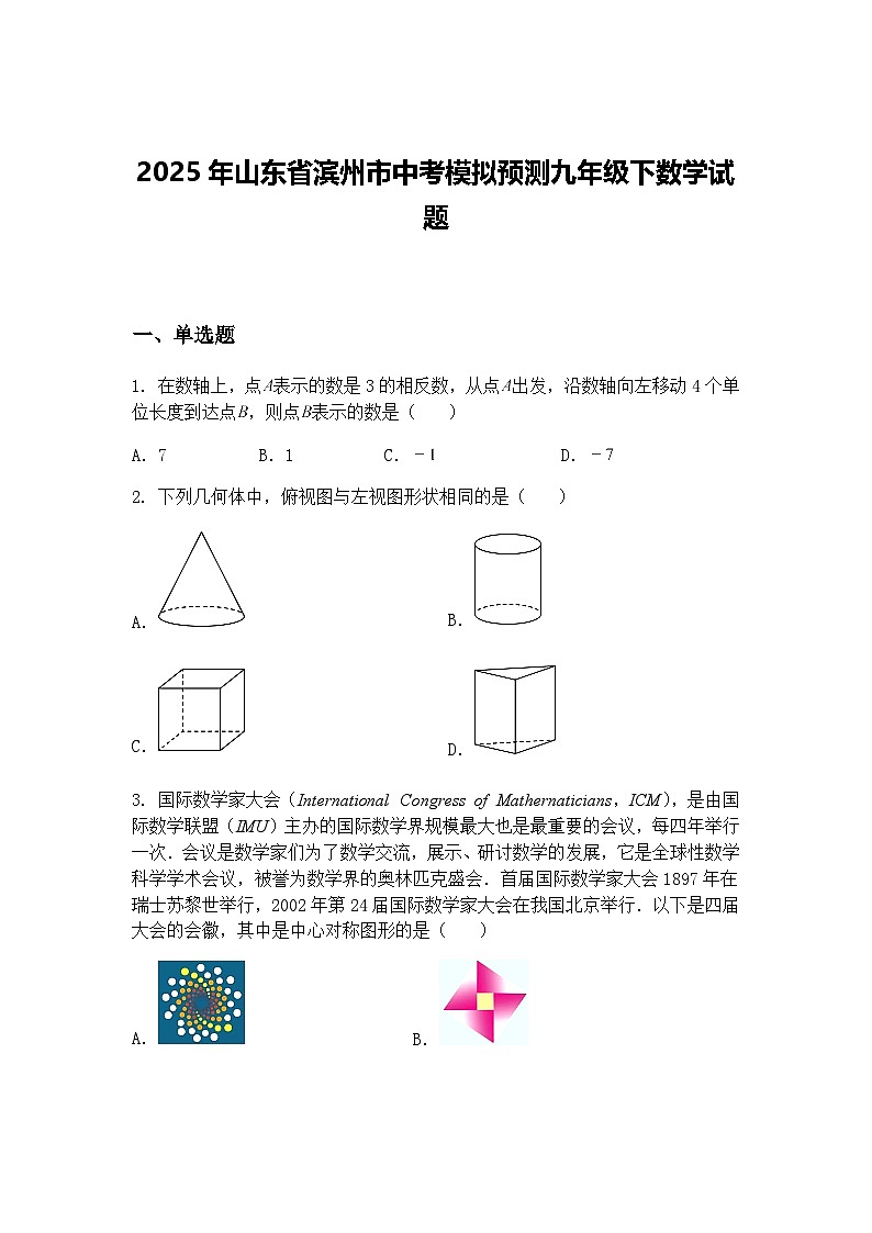 2025年山东省滨州市中考模拟预测九年级下数学试题（含答案解析）第1页