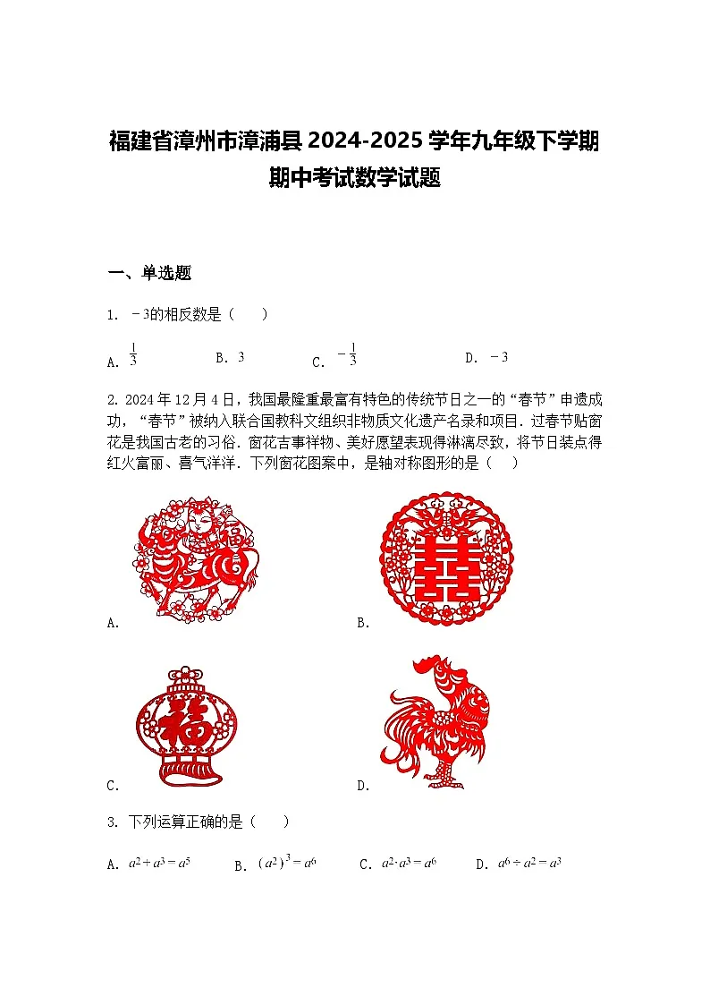 福建省漳州市漳浦县2024-2025学年九年级下学期期中考试数学试题（含答案解析）第1页
