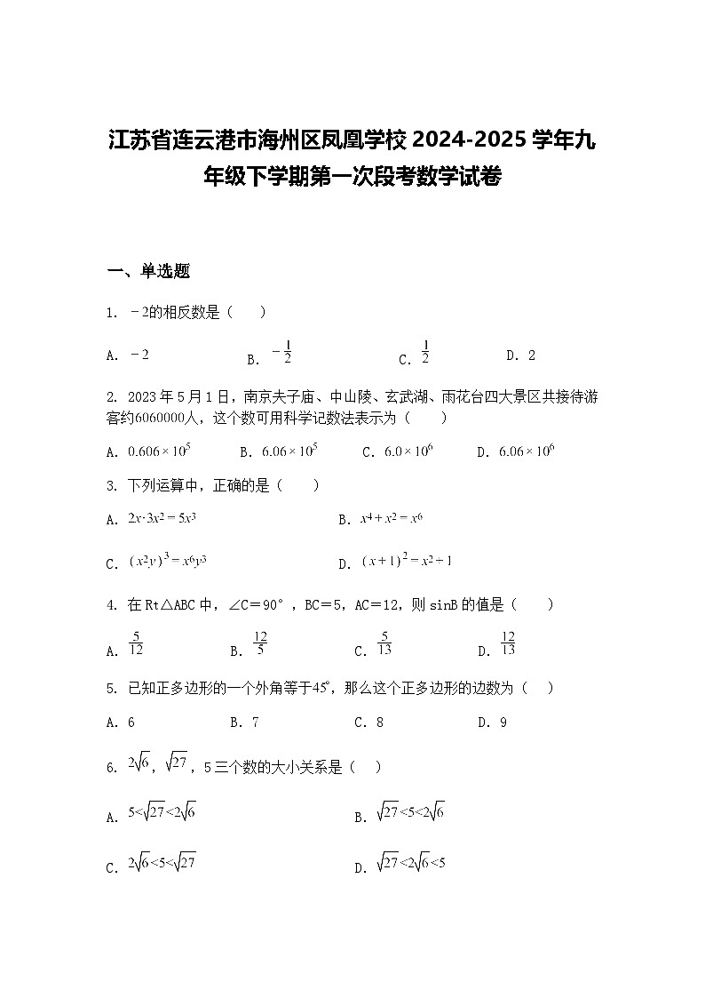 江苏省连云港市海州区凤凰学校2024-2025学年九年级下学期第一次段考数学试卷（含答案解析）第1页