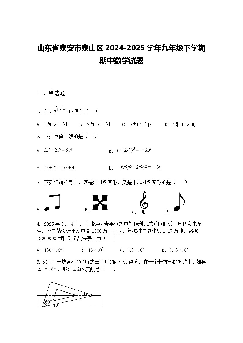 山东省泰安市泰山区2024-2025学年九年级下学期期中数学试题（含答案解析）第1页