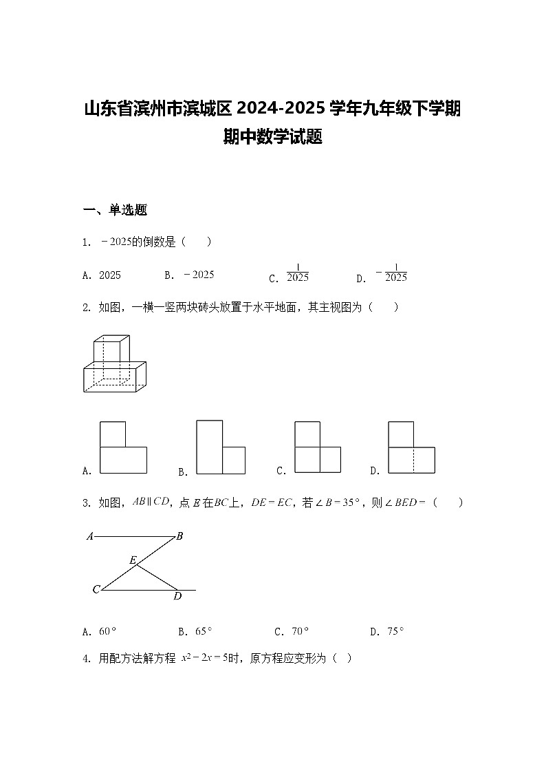 山东省滨州市滨城区2024-2025学年九年级下学期期中数学试题（含答案解析）第1页