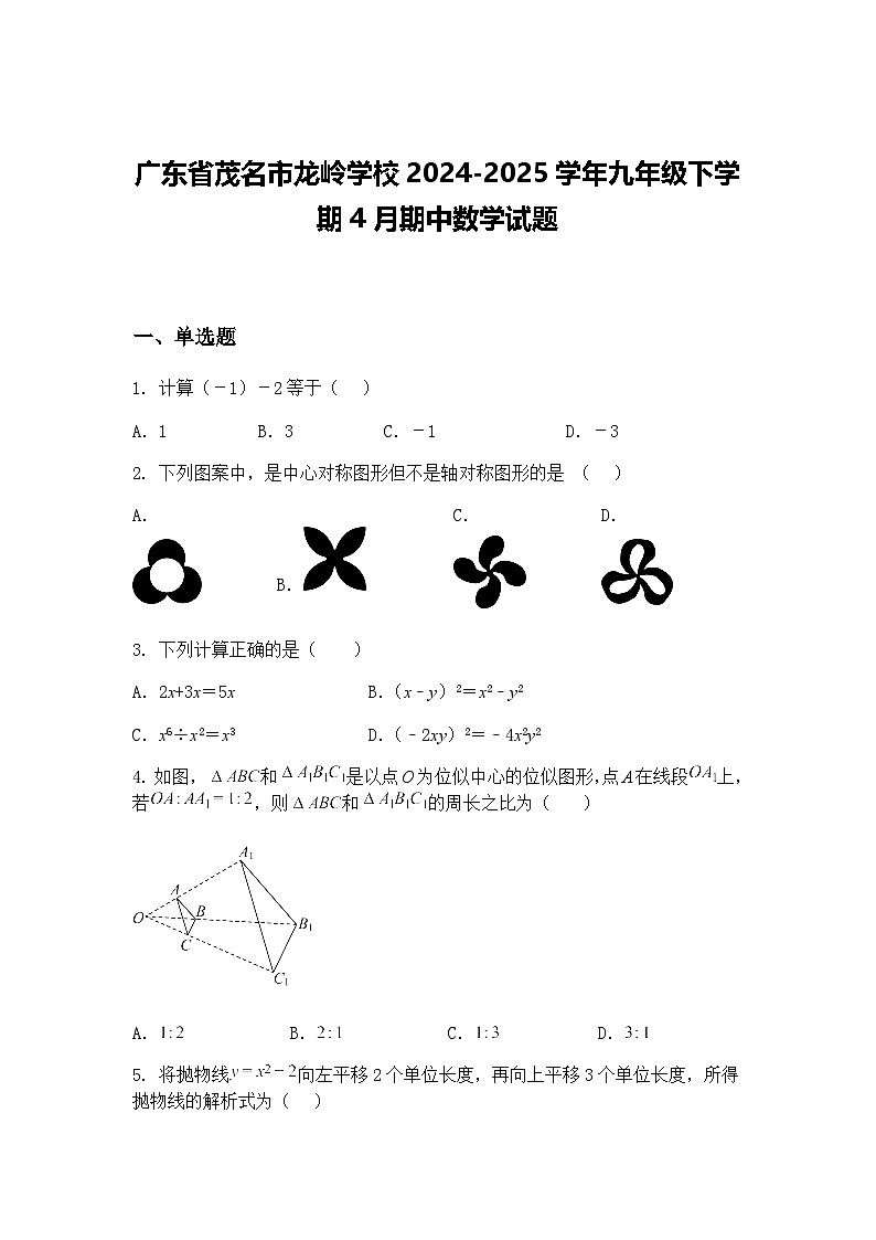 广东省茂名市龙岭学校2024-2025学年九年级下学期4月期中数学试题（含答案解析）第1页