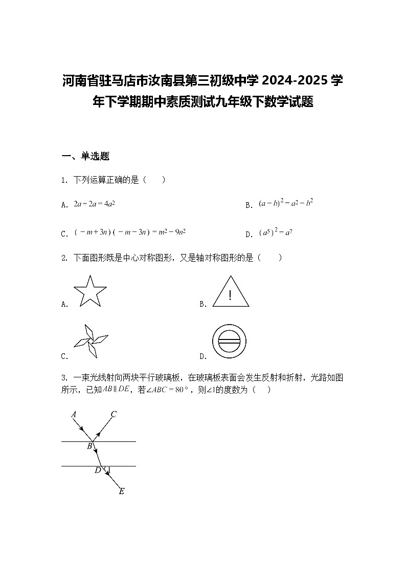 河南省驻马店市汝南县第三初级中学2024-2025学年下学期期中素质测试九年级下数学试题（含答案解析）第1页