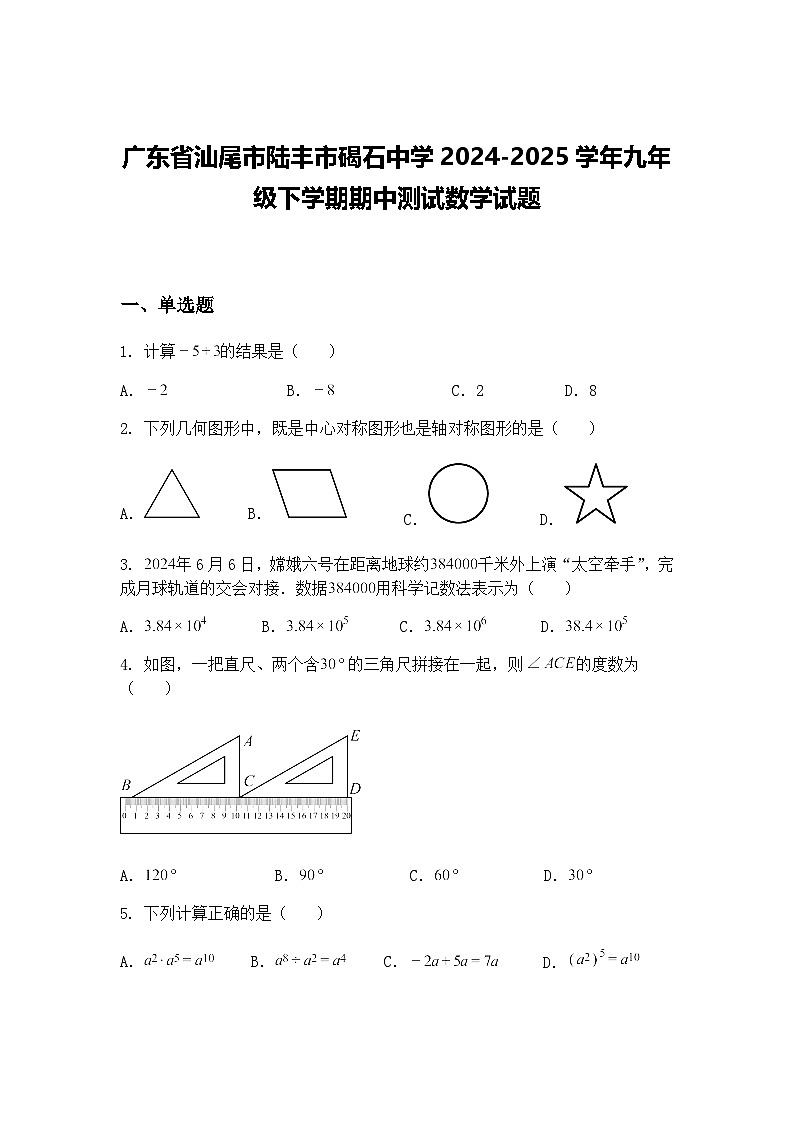 广东省汕尾市陆丰市碣石中学2024-2025学年九年级下学期期中测试数学试题（含答案解析）第1页