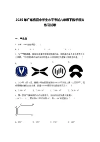 2025年广东省初中学业水平考试九年级下数学模拟练习试卷（含答案解析）