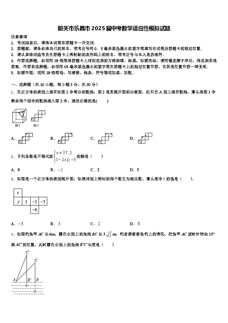 韶关市乐昌市2025届中考数学适应性模拟试题含解析第1页