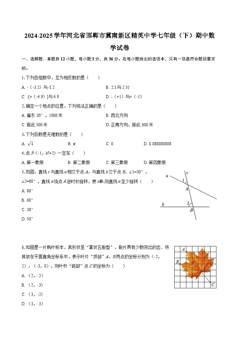 2024-2025学年河北省邯郸市冀南新区精英中学七年级（下）期中数学试卷-自定义类型第1页
