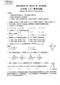 重庆市杨家坪中学 2025-2026学年九年级上学期第一次月考数学试卷