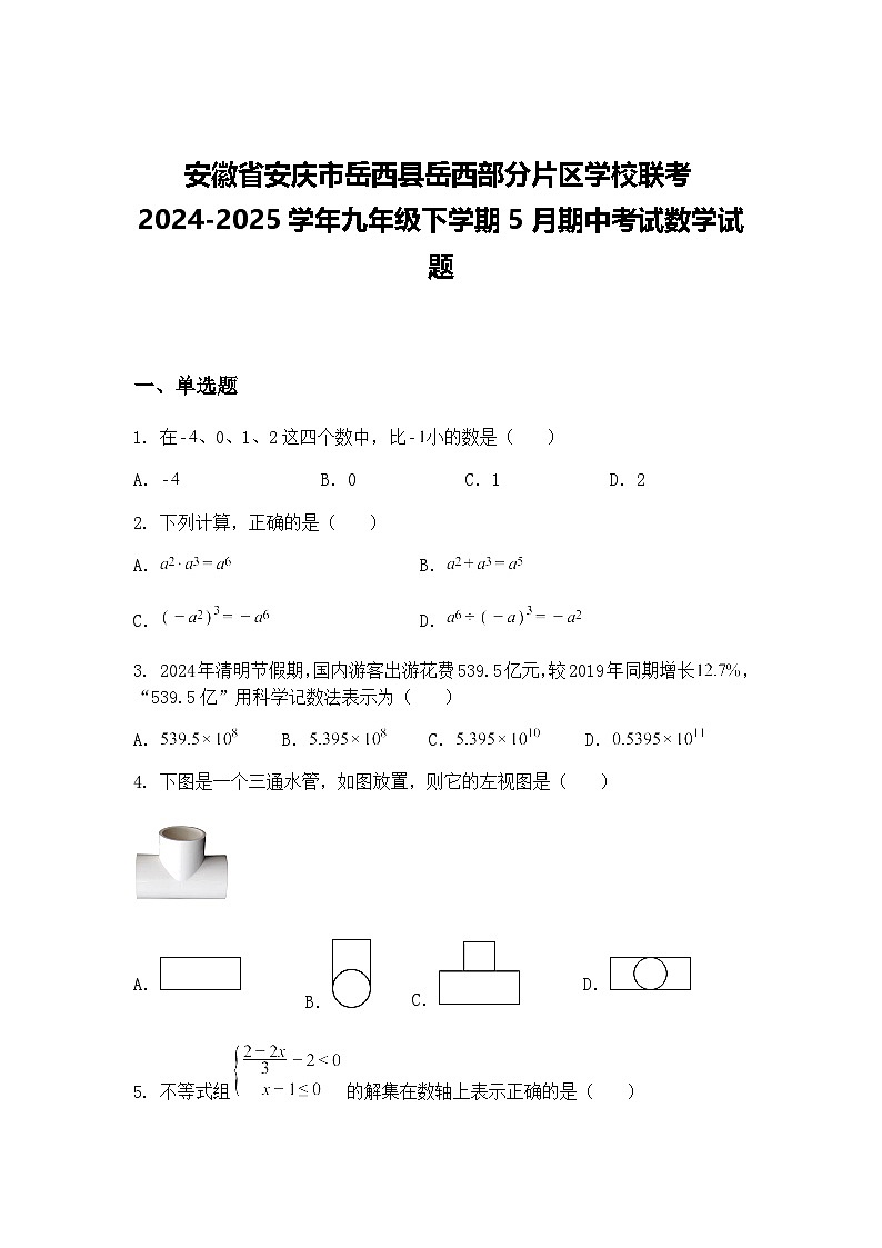 安徽省安庆市岳西县岳西部分片区学校联考2024-2025学年九年级下学期5月期中考试数学试题（含答案解析）第1页