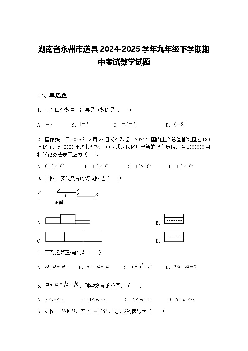 湖南省永州市道县2024-2025学年九年级下学期期中考试数学试题（含答案解析）第1页