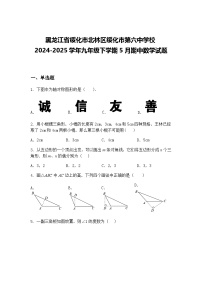 黑龙江省绥化市北林区绥化市第六中学校2024-2025学年九年级下学期5月期中数学试题（含答案解析）