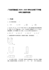 广东东莞南城区2024—2025学年九年级下下学期中考三模数学试题（含答案解析）