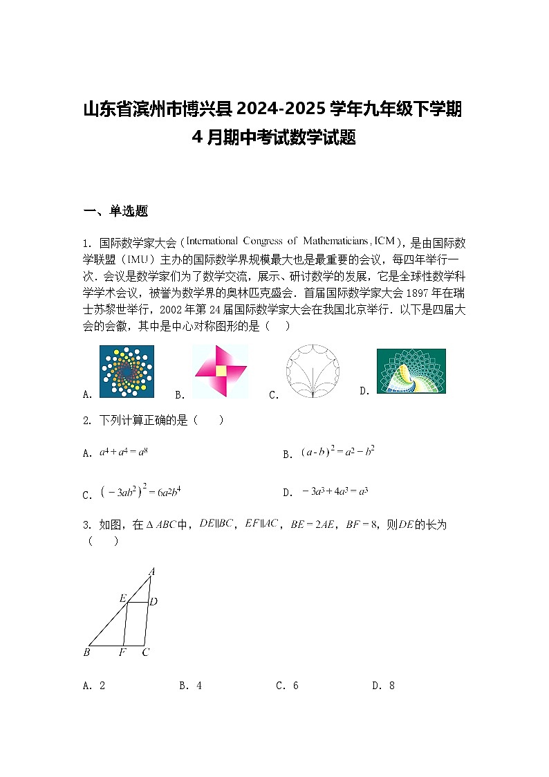 山东省滨州市博兴县2024-2025学年九年级下学期4月期中考试数学试题（含答案解析）第1页