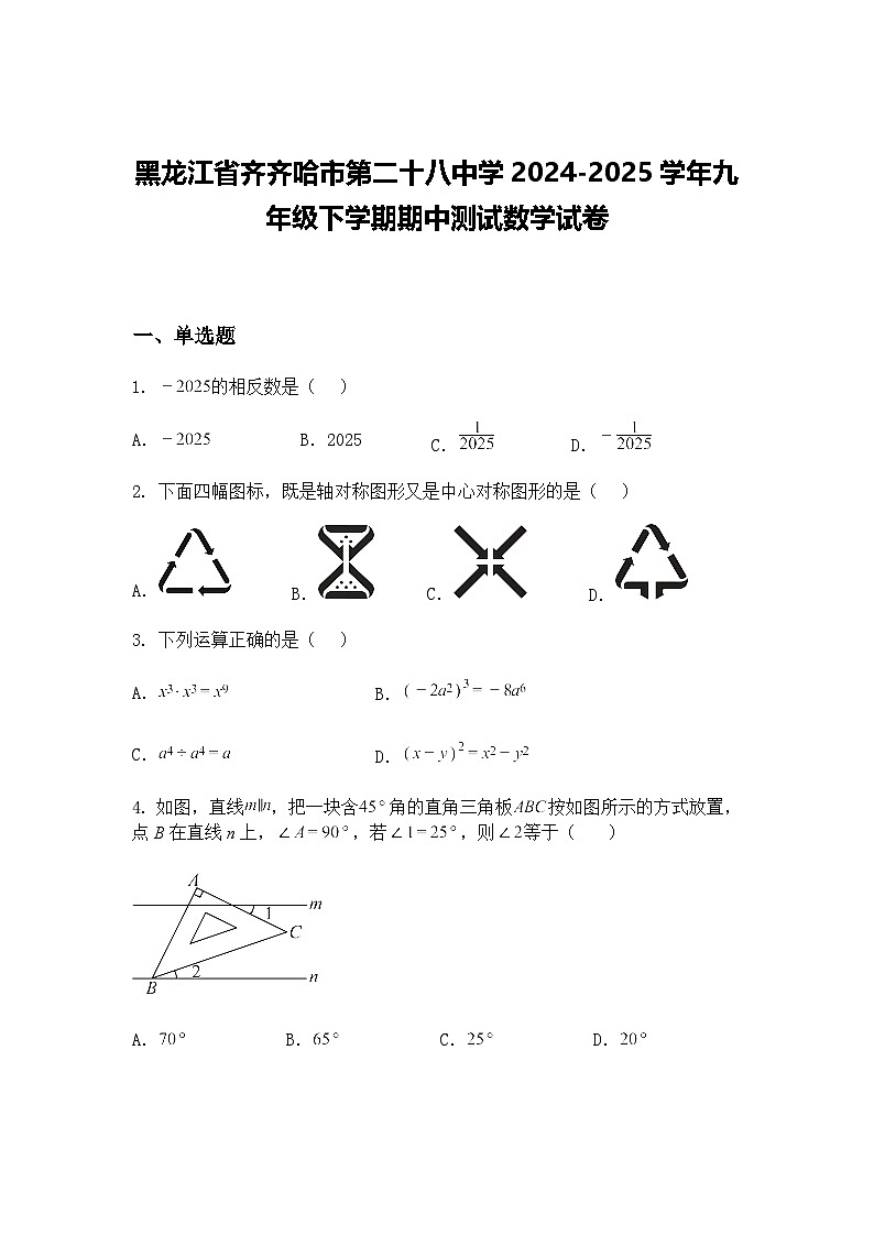 黑龙江省齐齐哈市第二十八中学2024-2025学年九年级下学期期中测试数学试卷（含答案解析）第1页