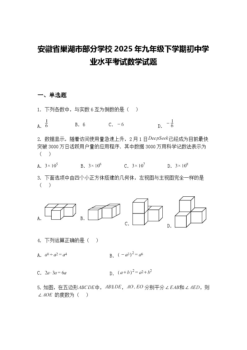 安徽省巢湖市部分学校2025年九年级下学期初中学业水平考试数学试题（含答案解析）第1页