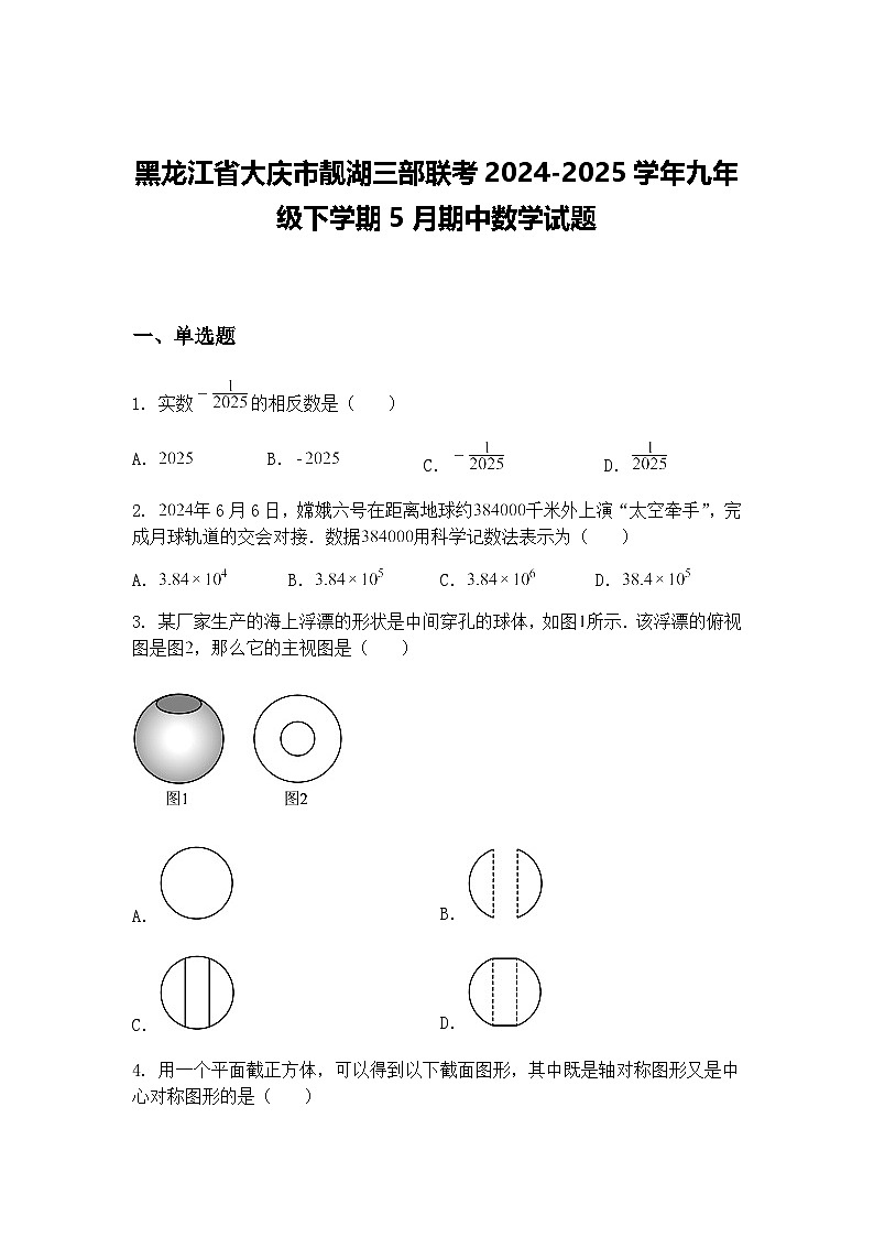 黑龙江省大庆市靓湖三部联考2024-2025学年九年级下学期5月期中数学试题（含答案解析）第1页