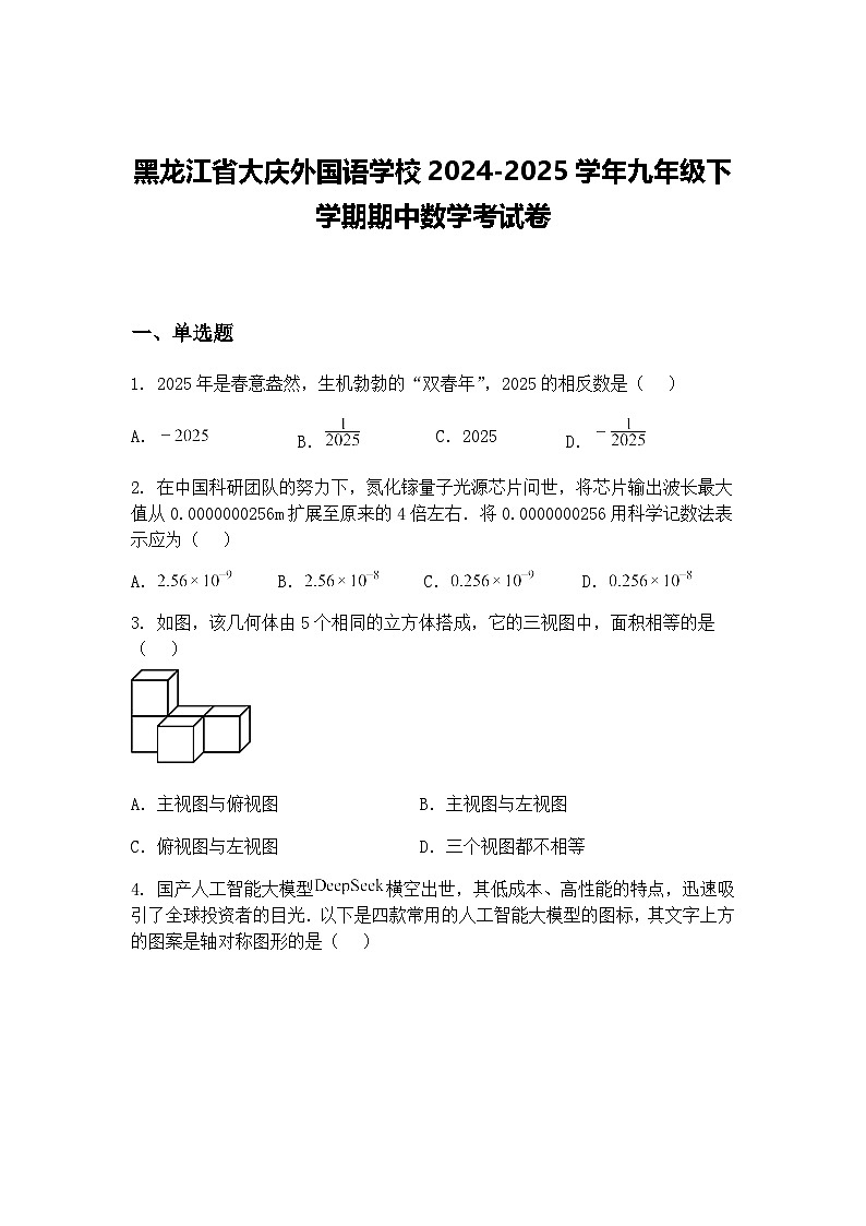 黑龙江省大庆外国语学校2024-2025学年九年级下学期期中数学考试卷（含答案解析）第1页