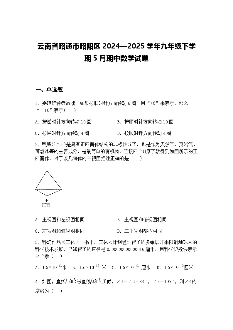 云南省昭通市昭阳区2024—2025学年九年级下学期5月期中数学试题（含答案解析）第1页