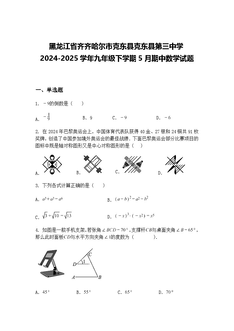 黑龙江省齐齐哈尔市克东县克东县第三中学2024-2025学年九年级下学期5月期中数学试题（含答案解析）第1页