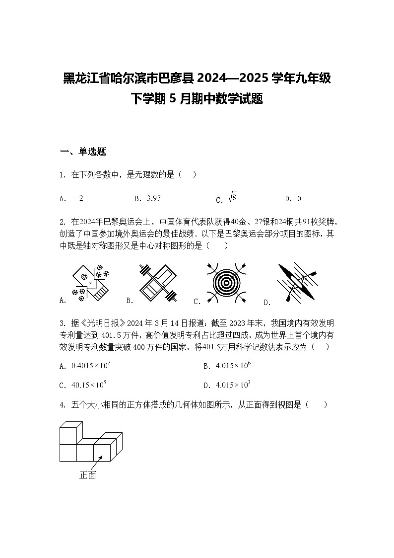 黑龙江省哈尔滨市巴彦县2024—2025学年九年级下学期5月期中数学试题（含答案解析）第1页