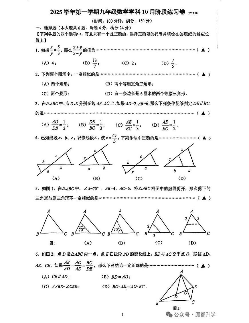 上海市普陀区2025－2026学年九年级上学期10月月考数学试卷第1页