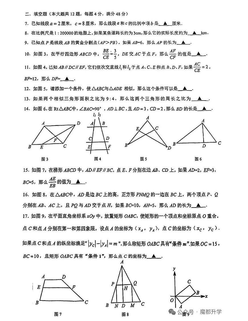 上海市普陀区2025－2026学年九年级上学期10月月考数学试卷第2页