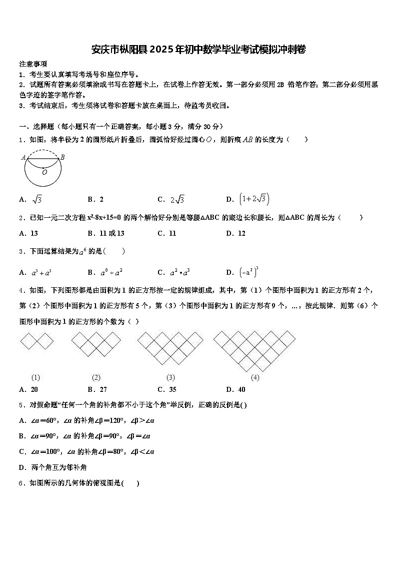 安庆市枞阳县2025年初中数学毕业考试模拟冲刺卷含解析第1页