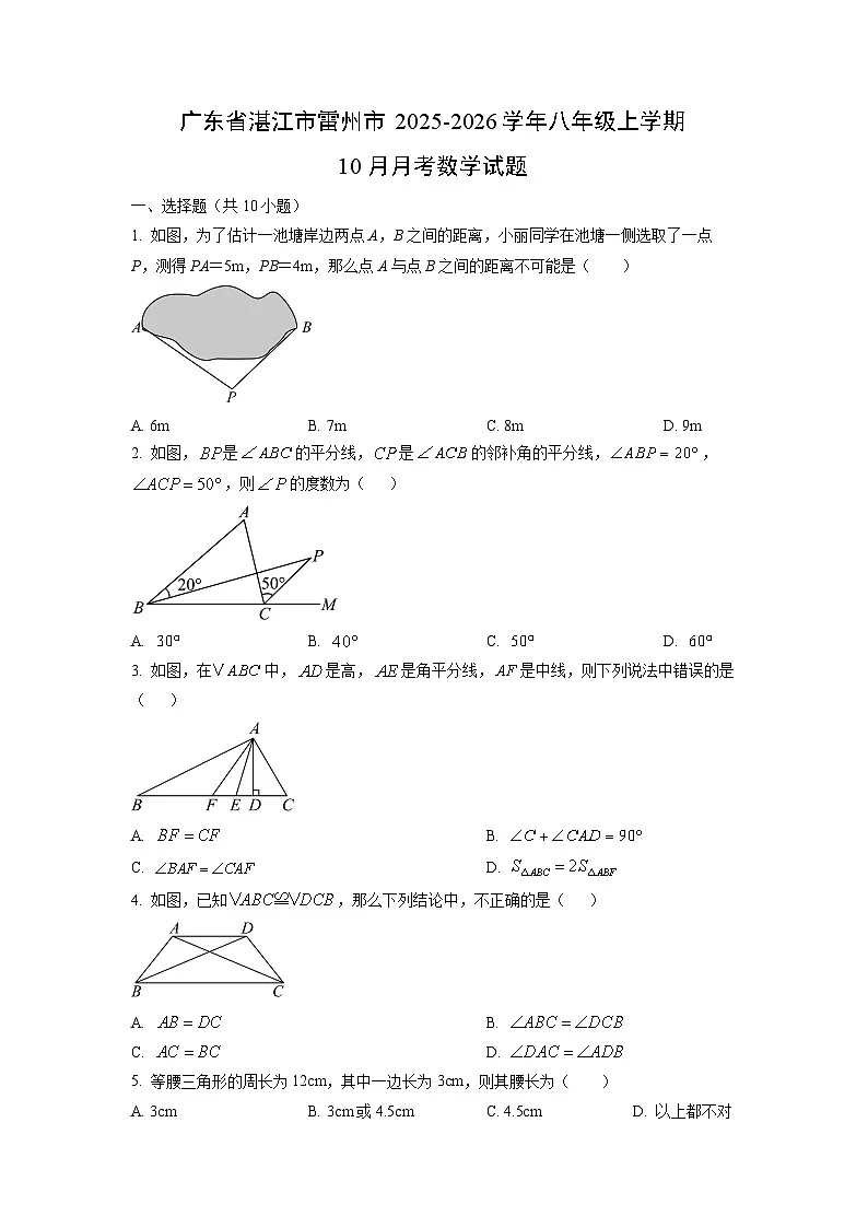 广东省湛江市雷州市2025-2026学年八年级上学期10月月考数学试卷（学生版）第1页